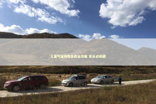 儿童气道异物急救全攻略 家长必收藏 新闻