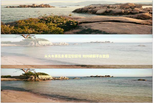 从火车票乱象看监管困境 如何破解平台套路 新闻