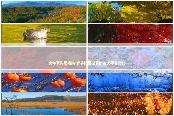 火车票购买指南 春节抢票必看的五大平台对比 新闻