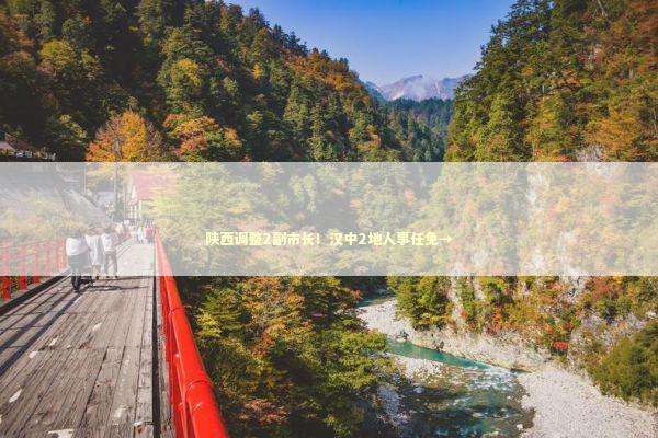 陕西调整2副市长！汉中2地人事任免→ 新闻