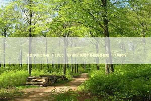 一季度净流出高达17亿美元！黑石集团旗舰私募信贷基金成“PE风向标” 新闻