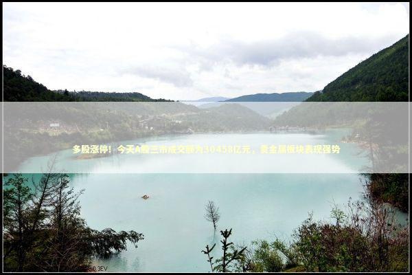 多股涨停！今天A股三市成交额为30458亿元，贵金属板块表现强势 新闻