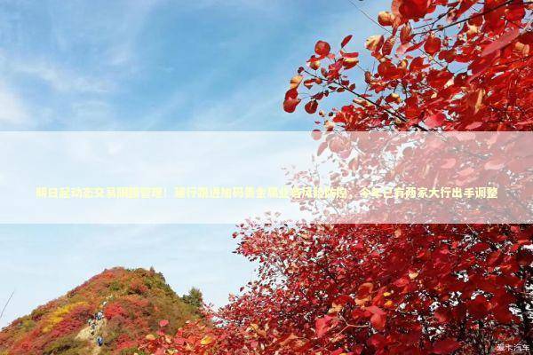 明日起动态交易限额管理！建行跟进加码贵金属业务风险防控，今年已有两家大行出手调整 新闻