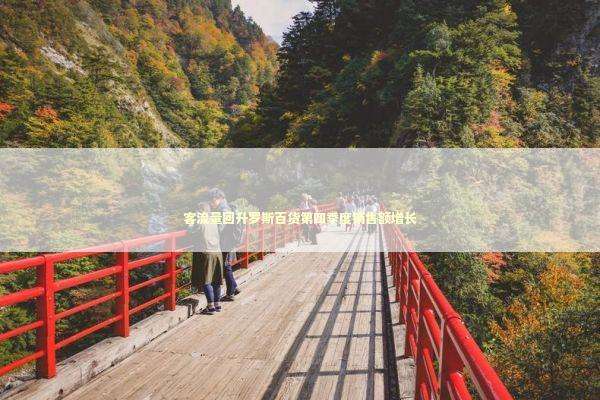 客流量回升罗斯百货第四季度销售额增长 新闻