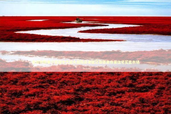 早在特朗普下达禁令之前大型投资者就已在撤离存量住宅买卖市场 新闻