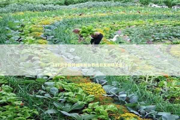 187只个股跨越牛熊分界线引发市场关注_8 新闻