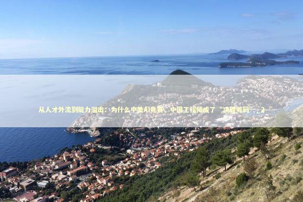 从人才外流到能力溢出：为什么中美AI竞赛，中国工程师成了“决胜筹码”_2 新闻