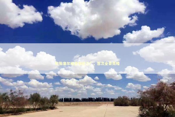 轮胎塞尔维亚智能工厂，首次全景亮相 新闻