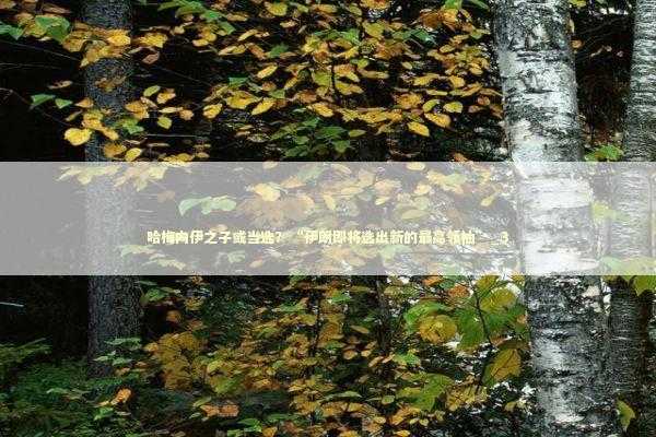 哈梅内伊之子或当选？“伊朗即将选出新的最高领袖”_3 新闻