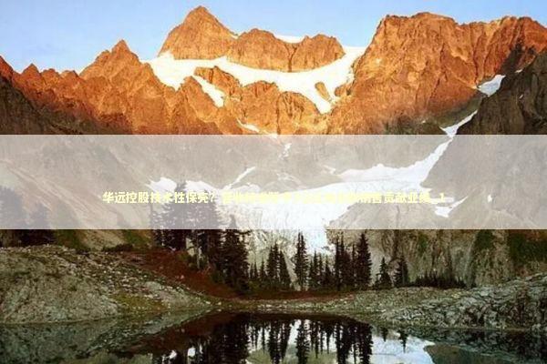 华远控股技术性保壳？营收精准踩中3亿红线关联销售贡献业绩_1 新闻