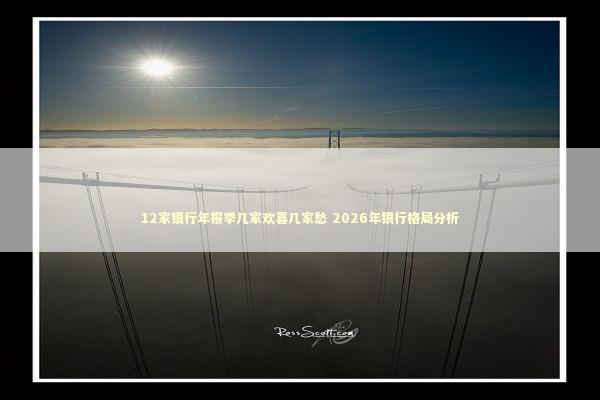 12家银行年报季几家欢喜几家愁 2026年银行格局分析 新闻