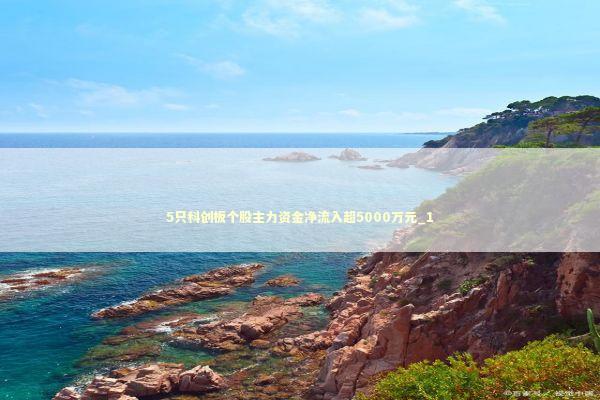 5只科创板个股主力资金净流入超5000万元_1 新闻