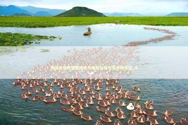 地缘冲突有望继续推升煤炭价格引发市场关注_4 新闻