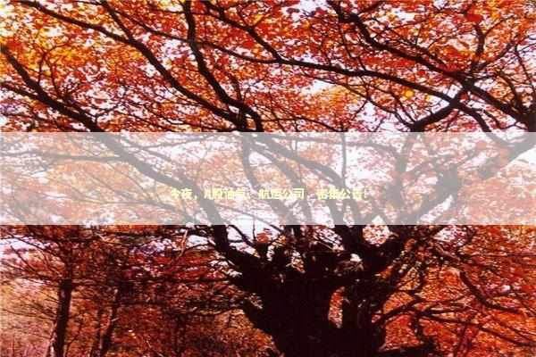 今夜，A股油气、航运公司，密集公告！ 新闻