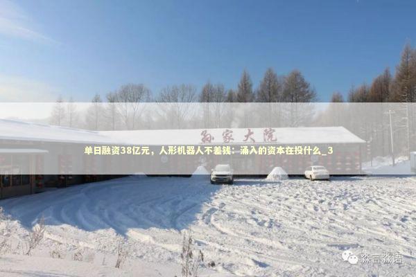 单日融资38亿元，人形机器人不差钱：涌入的资本在投什么_3 新闻