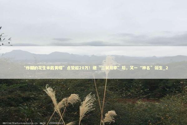 “炸糊的花生米戴黄帽”点赞超20万！继“二舅月季”后，又一“神名”诞生_2 新闻
