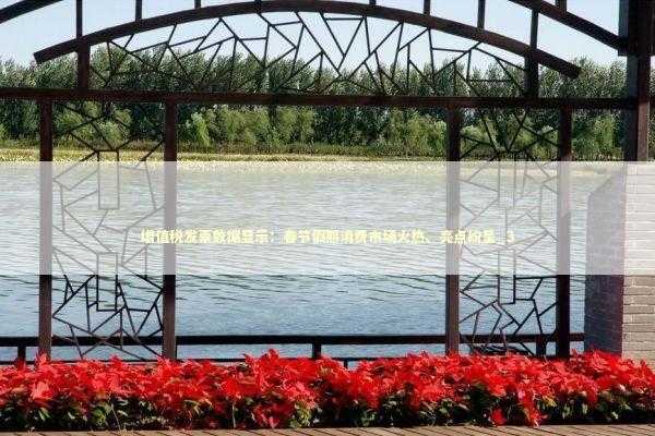 增值税发票数据显示：春节假期消费市场火热、亮点纷呈_3 新闻