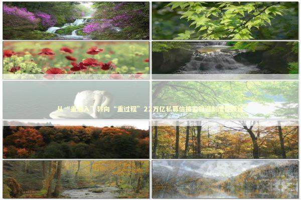 从“重准入”转向“重过程”22万亿私募信披监管迎制度性跃迁 新闻