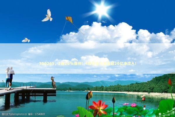 300265，2连20%涨停！4股获主力资金超20亿净流入！ 新闻