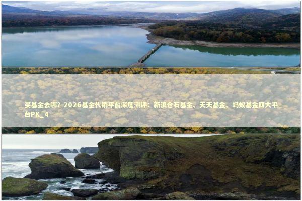 买基金去哪？2026基金代销平台深度测评：新浪仓石基金、天天基金、蚂蚁基金四大平台PK_4 新闻