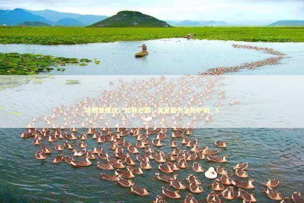 特朗普提议：如有必要，美军能为油轮护航_3 新闻