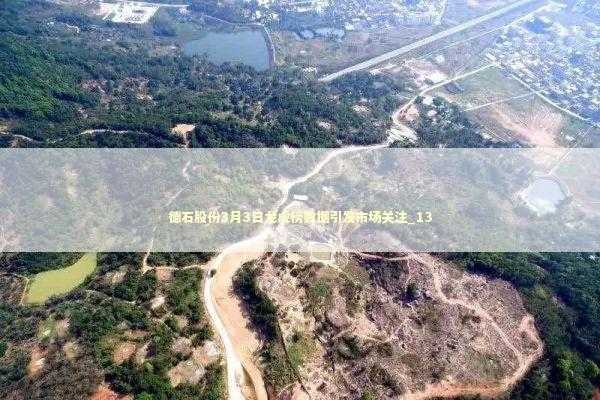 德石股份3月3日龙虎榜数据引发市场关注_13 新闻