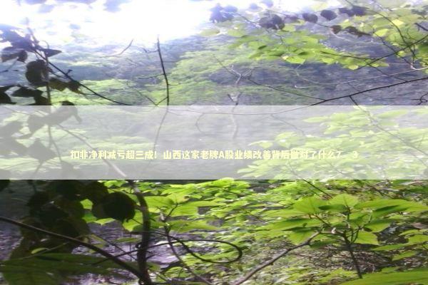 扣非净利减亏超三成！山西这家老牌A股业绩改善背后做对了什么？_3 新闻