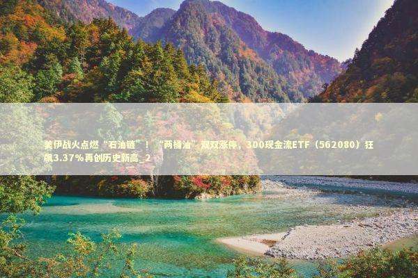 美伊战火点燃“石油链”！“两桶油”双双涨停，300现金流ETF（562080）狂飙3.37%再创历史新高_2 新闻