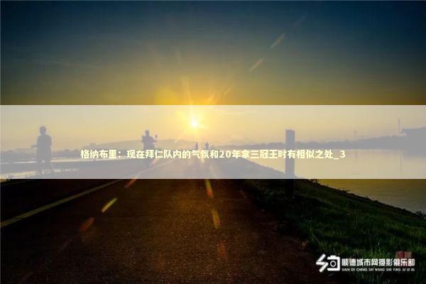 格纳布里：现在拜仁队内的气氛和20年拿三冠王时有相似之处_3 新闻