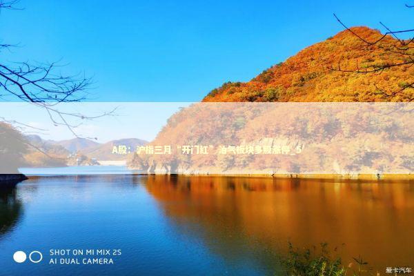 A股：沪指三月“开门红”油气板块多股涨停_5 新闻