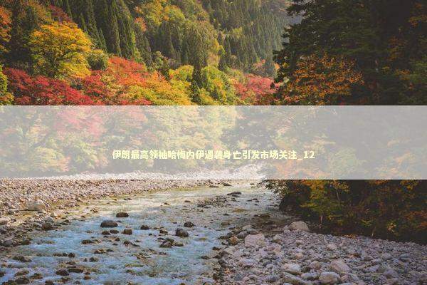 伊朗最高领袖哈梅内伊遇袭身亡引发市场关注_12 新闻