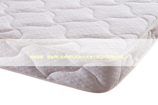 格纳布里：现在拜仁队内的气氛和20年拿三冠王时有相似之处_6 新闻