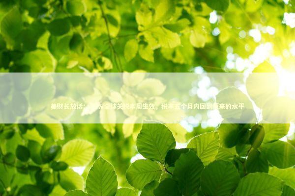 美财长放话：15%全球关税本周生效，税率五个月内回到原来的水平 新闻