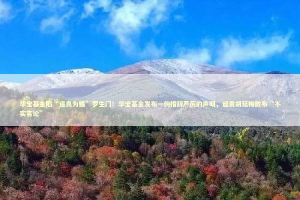 华宝基金陷“逼良为娼”罗生门！华宝基金发布一份措辞严厉的声明，谴责胡延梅散布“不实言论” 新闻