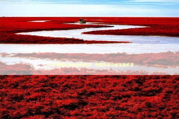 2026年隐私安全趋势升级：把握加密沟通发展机遇 新闻