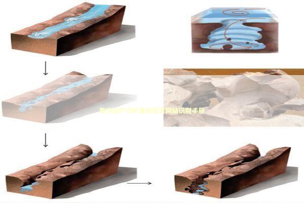 数字资产守护者的官方网站识别手册 IT技术