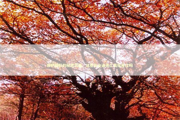 保护隐私的秘密武器：这些安全通讯工具你用过吗 IT技术