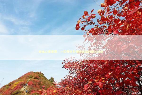 走出心灵迷雾：一位母亲与情绪困境的漫长对话 健康养生