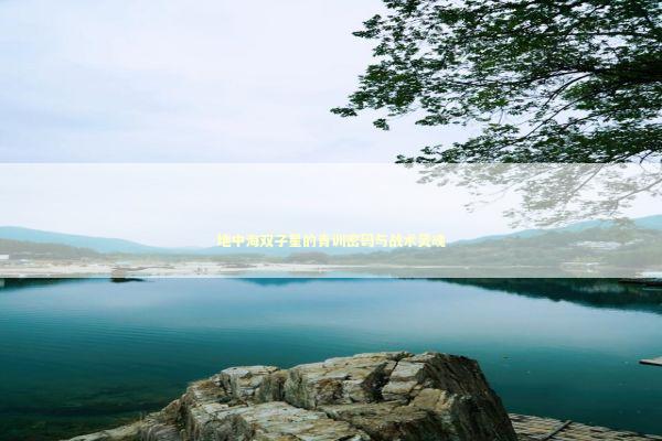 地中海双子星的青训密码与战术灵魂