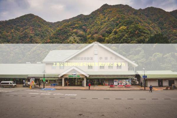 上市公司如何构建可持续发展的核心竞争力 股票财经