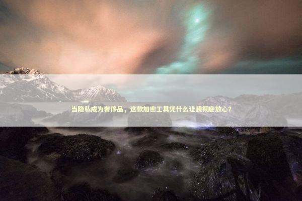 当隐私成为奢侈品，这款加密工具凭什么让我彻底放心？ IT技术