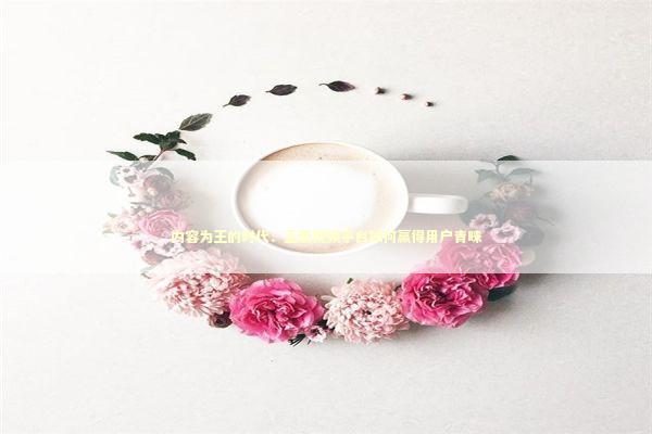 内容为王的时代：正版视频平台如何赢得用户青睐 影视小说