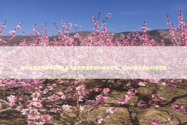 安切洛蒂战术革命解密：皇马体系数据背后的成功密码，伯纳乌新王朝的构建逻辑 体育新闻